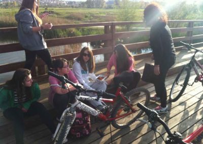 bicycle 1 frontistirio diadrasi ioannina